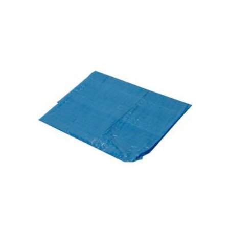 HARPSTER OF PHILIPSBURG 12 ft x 25 ft Light Duty Tarp, Blue, 2.9 oz B12x25